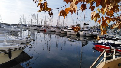 Ports de Golfe-Juan : Anticor prête à faire un signalement au procureur